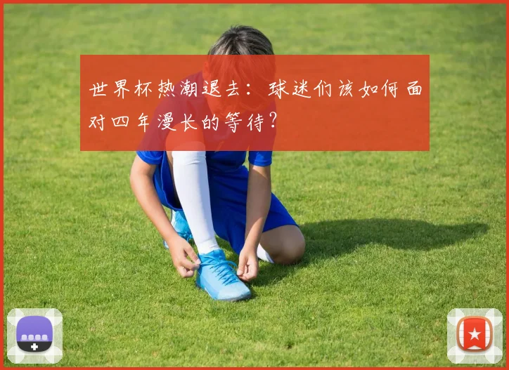 世界杯热潮退去：球迷们该如何面对四年漫长的等待？