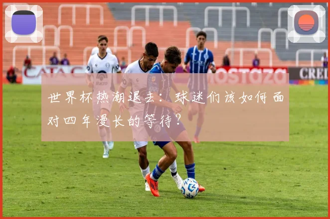 世界杯热潮退去：球迷们该如何面对四年漫长的等待？