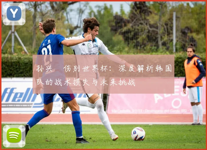 孙兴慜伤别世界杯：深度解析韩国队的战术损失与未来挑战