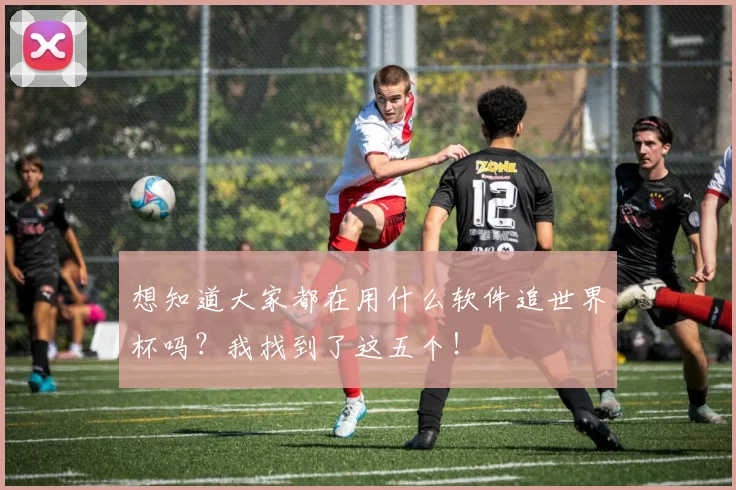 想知道大家都在用什么软件追世界杯吗？我找到了这五个！