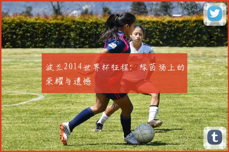 波兰2014世界杯征程:绿茵场上的荣耀与遗憾