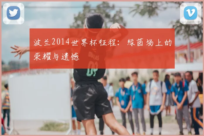 波兰2014世界杯征程：绿茵场上的荣耀与遗憾
