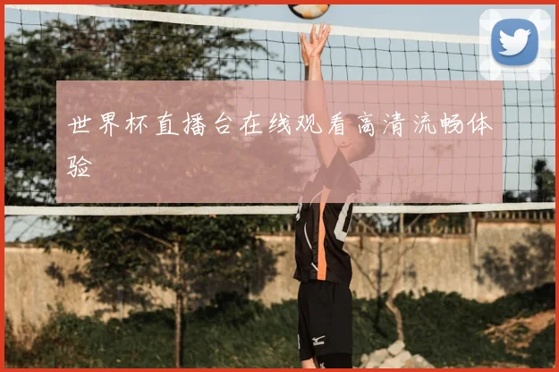 世界杯直播台在线观看高清流畅体验