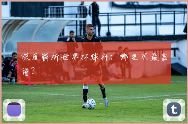 深度解析世界杯球杆：哪里买最靠谱？
