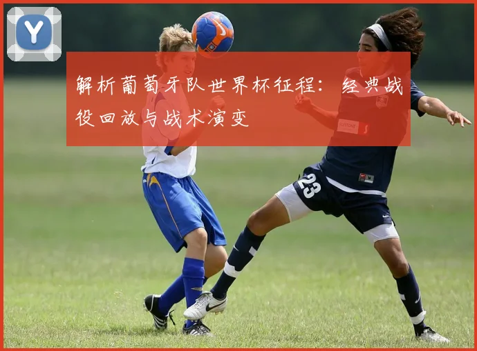 解析葡萄牙队世界杯征程：经典战役回放与战术演变