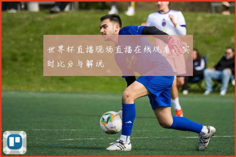 世界杯直播现场直播在线观看，实时比分与解说
