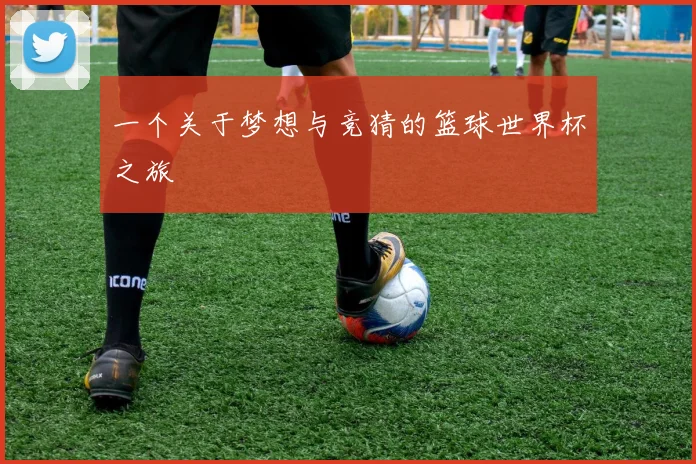 一个关于梦想与竞猜的篮球世界杯之旅