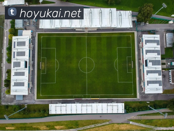 欧宝手机网页版发展历程